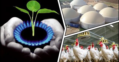 Фото – Винницкая птицефабрика получит $30 млн на производство сжиженного биометана