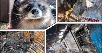 Photo – A fire broke out in a shelter in Dnipro