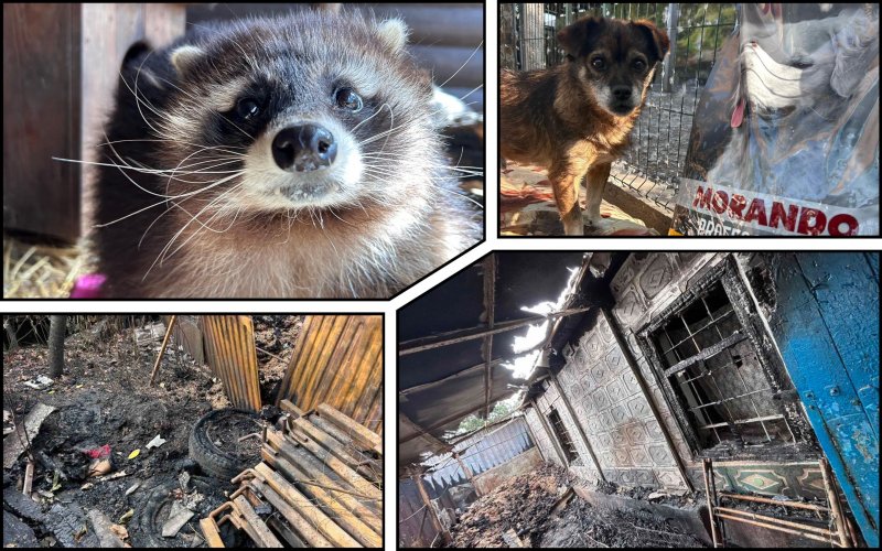 В Днепре произошел пожар в приюте: украинцев призывали помочь