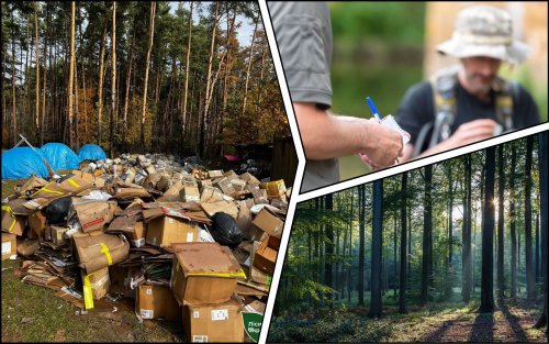 A waste paper dump was set up in the forest in Zhytomyr region