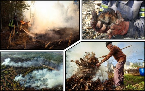 В Украине участились природные пожары из-за сжигания травы