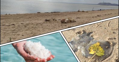 Фото – Уровень солености Азовского моря почти сравнялся с Черным