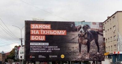 Photo – "The law is on their side": boards in support of animal rights have appeared in Transcarpathia