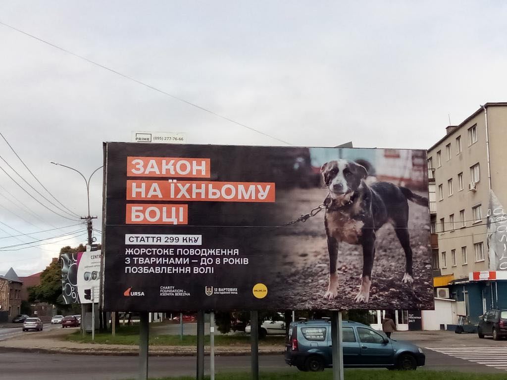 Photo – "The law is on their side": boards in support of animal rights have appeared in Transcarpathia