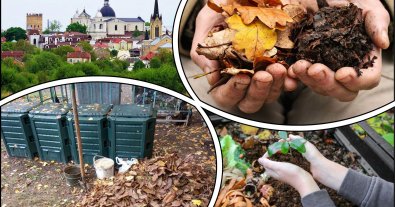 Фото – Во всех школах Луцка установили компостеры