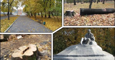 Photo – Communal workers destroyed trees in a protected park in Sumy region