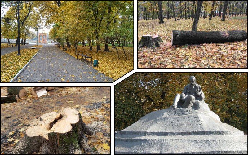 Communal workers destroyed trees in a protected park in Sumy region