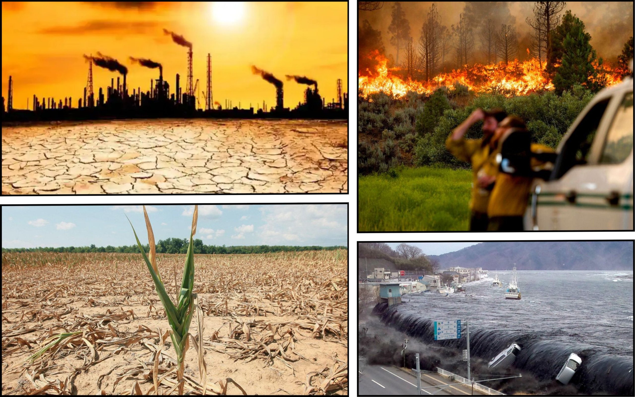 Photo – Carbon emissions will decrease by 2% from the required 43% by 2030 – UN