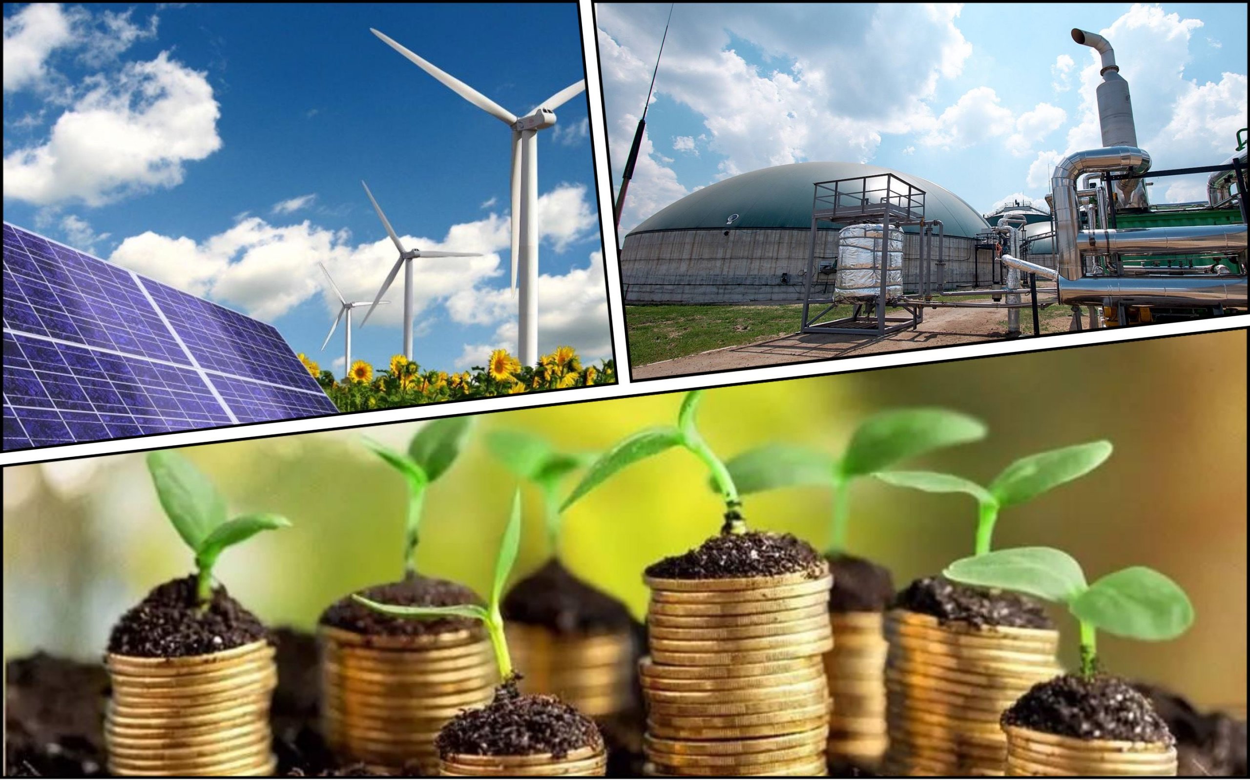 Photo – Ukraine needs to invest in solar energy, wind, biomass and biogas – UNDP