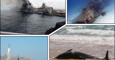 Фото – Из-за войны в Черное море попали тонны тяжелых металлов – биолог