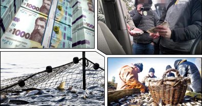Photo – Commander of "Odesa" group of troops was bribed for poaching
