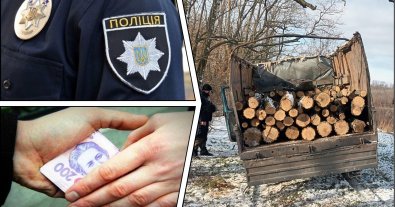 Photo – Black loggers tried to bribe police in Zaporizhzhia