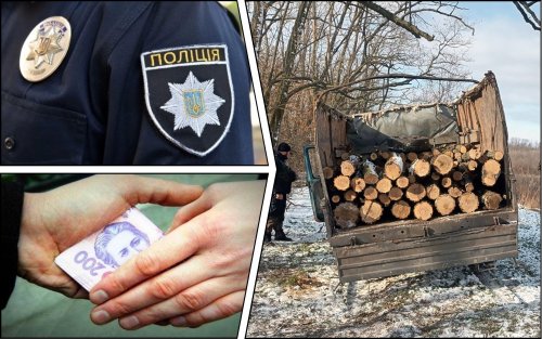 Black loggers tried to bribe police in Zaporizhzhia