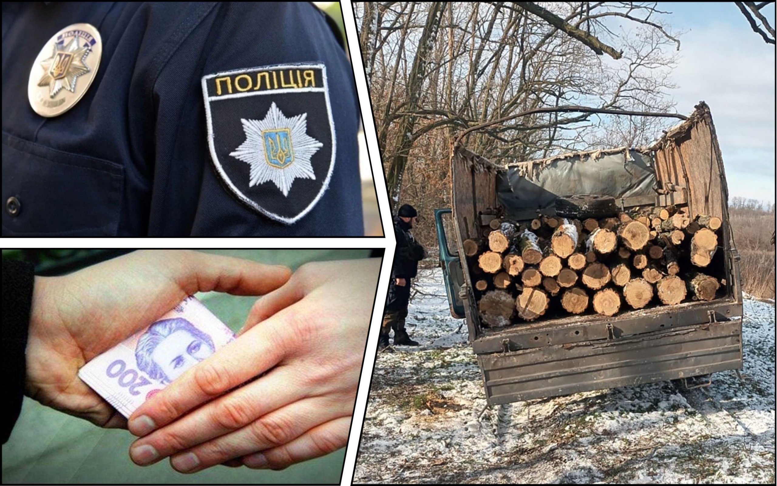 Фото – На Запорожье "черные лесорубы" пытались подкупить полицейских