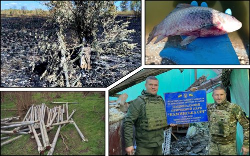 5 billion UAH of damages were caused to the nature reserve in the Kherson region due to the war