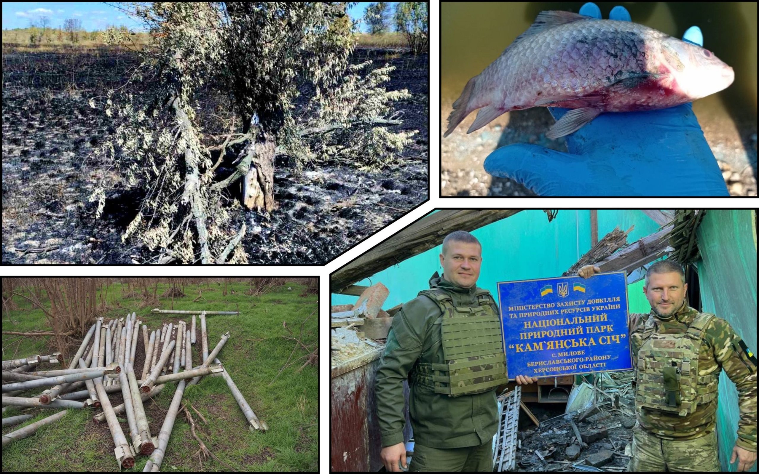 Photo – 5 billion UAH of damages were caused to the nature reserve in the Kherson region due to the war
