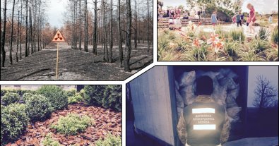 Фото – На Житомирщине поймали водителя с 3 тоннами радиоактивной древесины, которые везли в Киев