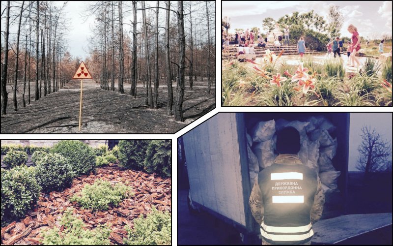 На Житомирщине поймали водителя с 3 тоннами радиоактивной древесины, которые везли в Киев