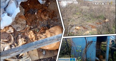 Photo – A case for pollution by pesticides lying in the open air was opened in Ternopil region