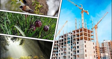Photo – The number of attempts to destroy nature reserves for the sake of development has increased in Kyiv – ecologists