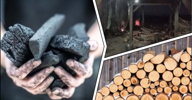 Фото – В Ривненской области обнаружили нелегальные печи для обжига угля