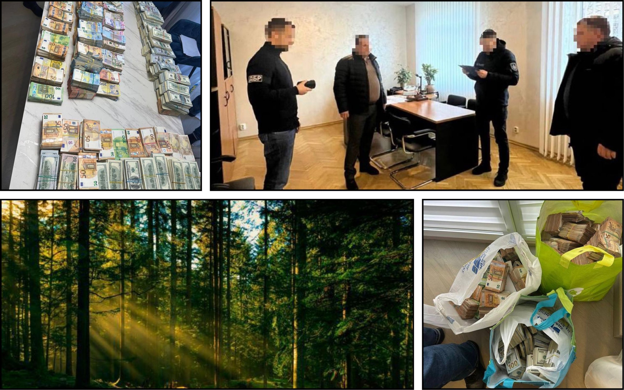 Photo – 4 kg of gold was seized from the deputy director of "Forests of Ukraine" during searches: all the details
