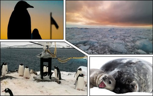 Украинские ученые рассказали миру о климатических аномалиях в Антарктиде