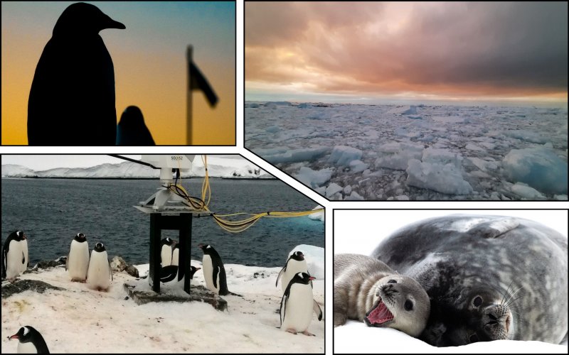 Украинские ученые рассказали миру о климатических аномалиях в Антарктиде