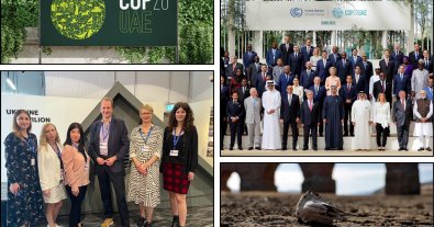 Photo – The international climate conference COP28 began in Dubai: the results of the first week