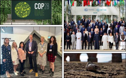 В Дубае продолжается международная климатическая конференция COP28: итоги первой недели