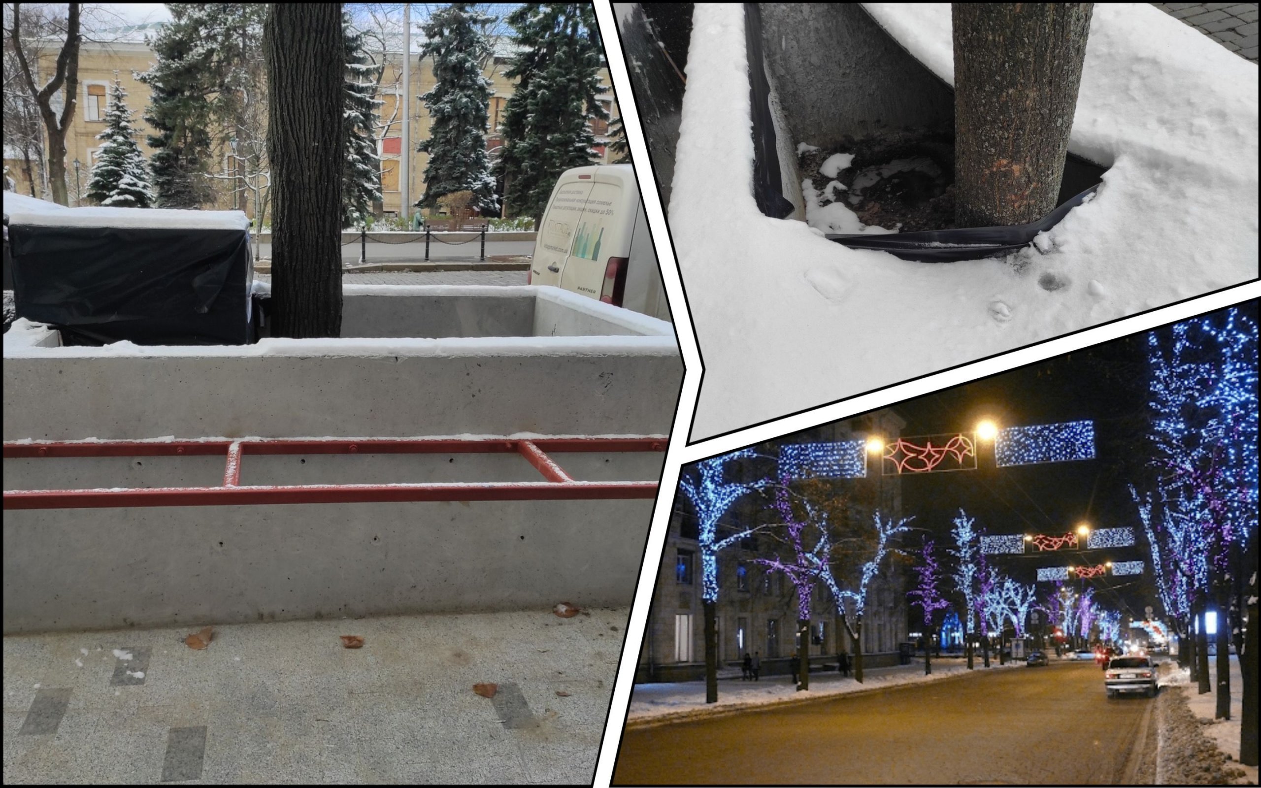 Фото – В Харькове экоактивистка обвинила Госэкоинспекцию в игнорировании обязанностей