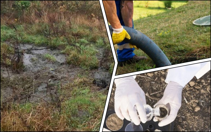 An entrepreneur was caught red-handed draining sewage from cesspools in Chernihiv region