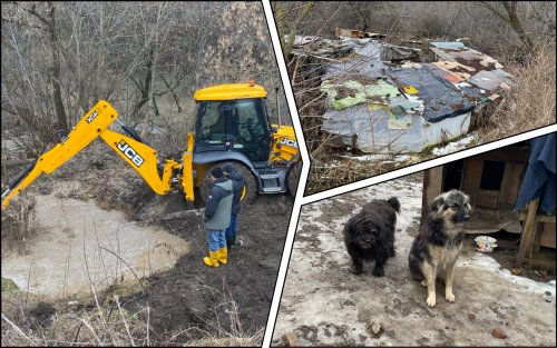 Animal shelter in Poltava flooded with sewage