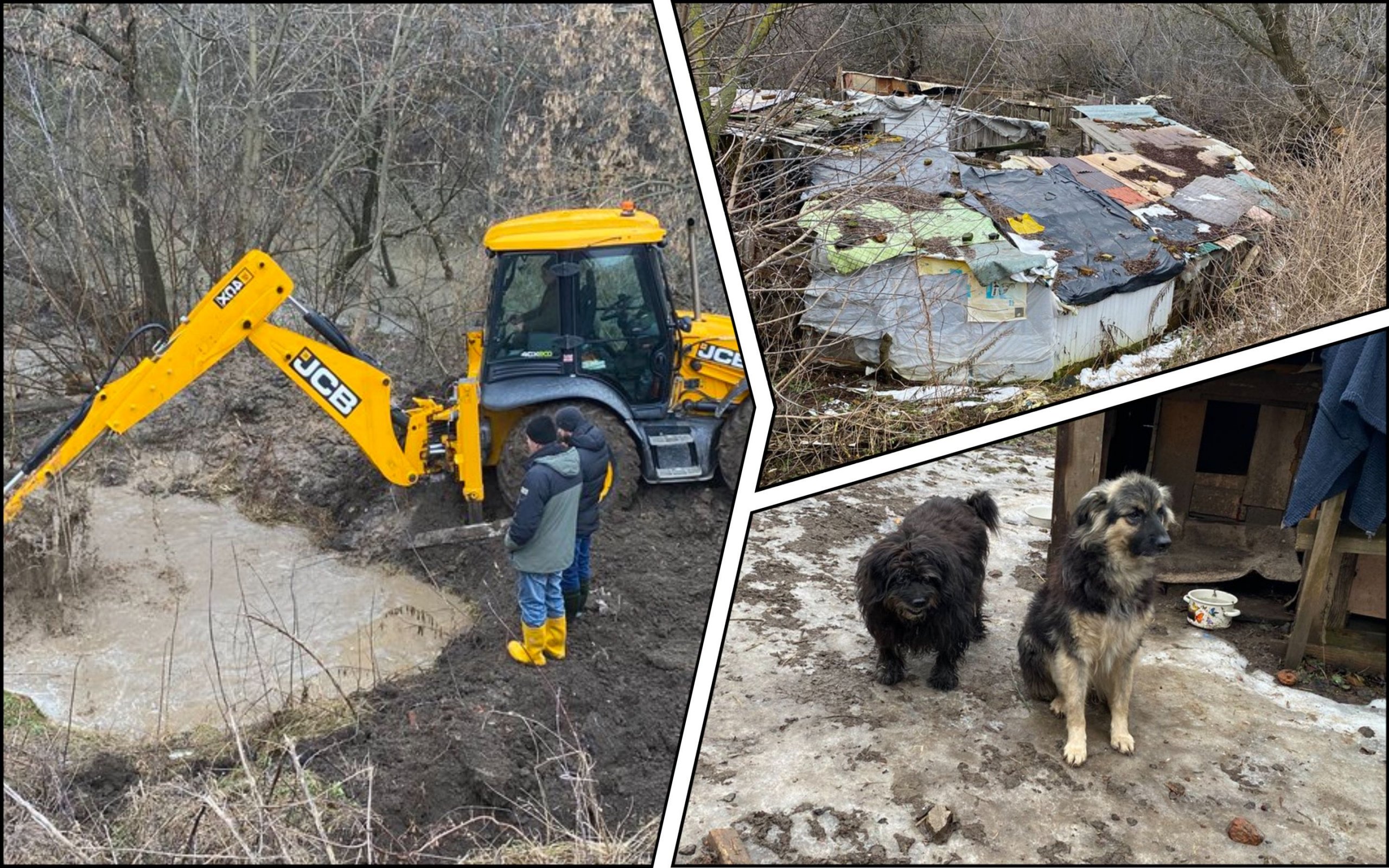 Photo – Animal shelter in Poltava flooded with sewage