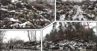 Фото – На Полтавщине планируют убрать пятилетнюю свалку посреди леса