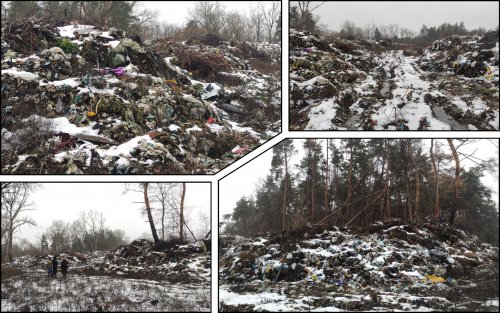 Poltava region plans to clean up five-year-old landfill in the middle of the forest