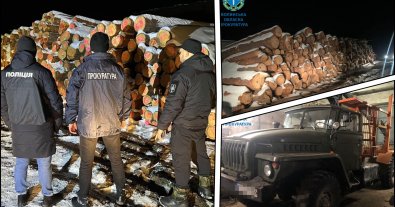 Photo – A scheme to steal wood from state forest farms worth millions of hryvnias was revealed in Volyn