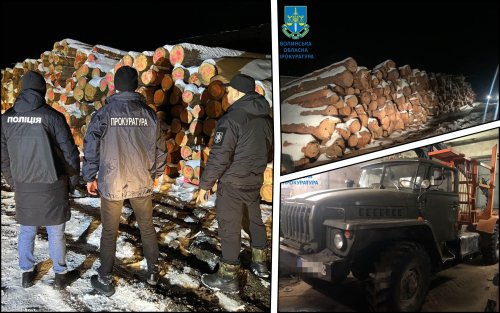 A scheme to steal wood from state forest farms worth millions of hryvnias was revealed in Volyn