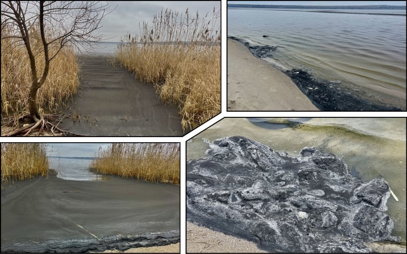 Oil products pollute the coast of the Bug estuary in Mykolaiv