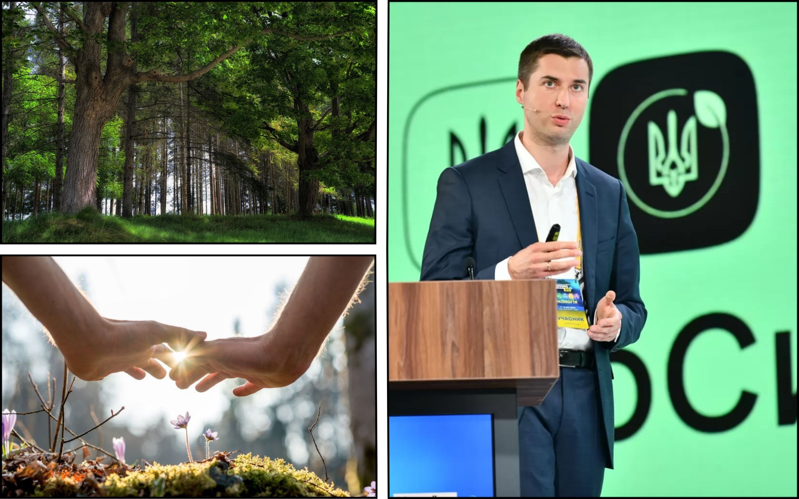 Photo – The government appointed Viktor Smal as the head of the State Forest Resources Agency