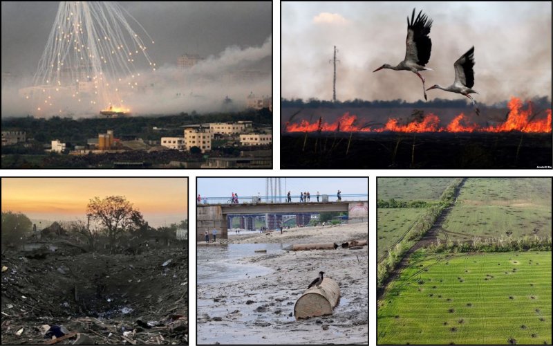 Экоцид на украинских землях: 5 крупнейших катастроф 2023 года