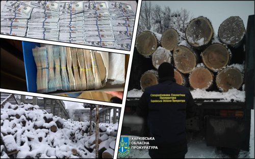 На Харківщині розкрили масштабну лісову схему на мільйони гривень