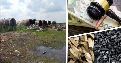 Фото – Суд призначив покарання випалювачу деревного вугілля на фермерських землях Хмельниччини