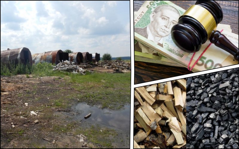 Суд назначил наказание обжигателю древесного угля на фермерских землях Хмельниччины