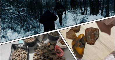 Фото – У депутата з Рівненщини та його спільників-“чорних копачів” вилучили 200 кг бурштину