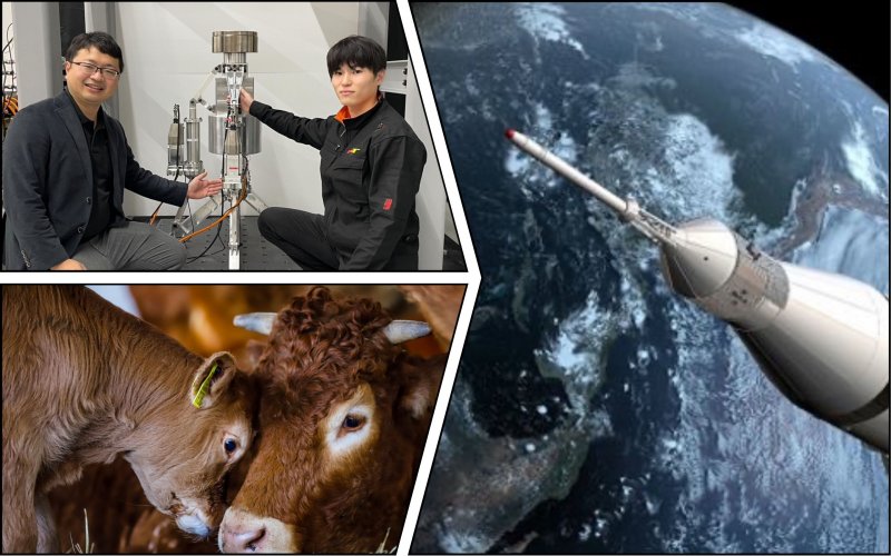В Японии разработали ракетный двигатель, работающий на биотопливе из коровьего навоза