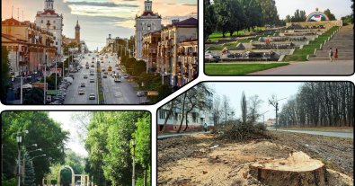 Photo – At least 900 trees destroyed in Zaporizhzhia over a year and not a single one planted