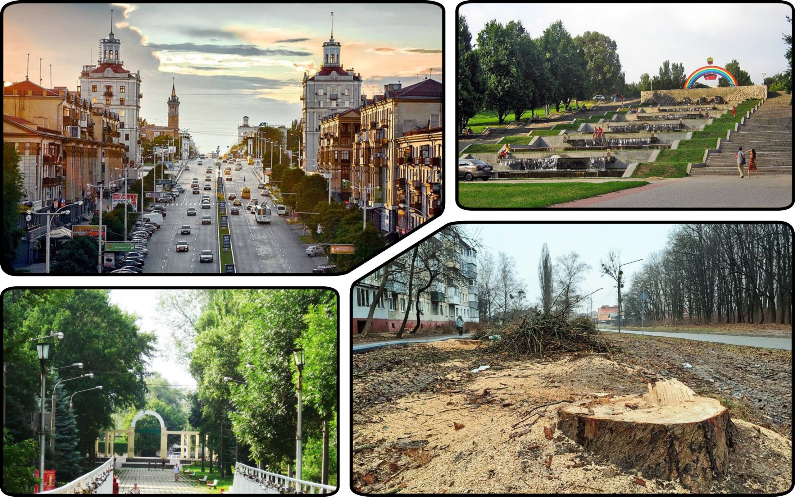 Фото – В Запорожье за год уничтожили по меньшей мере 900 деревьев и не высадили ни одного – СМИ