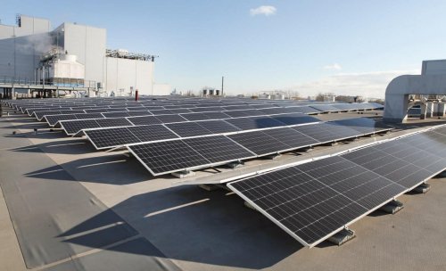 В Виннице на предприятии по производству муки установили 100 солнечных панелей