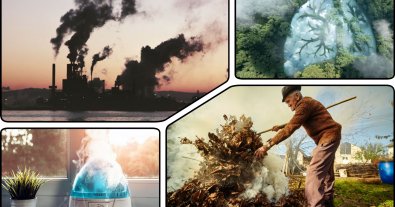 Фото – Невидимая угроза: как пыль PM2,5 влияет на здоровье людей